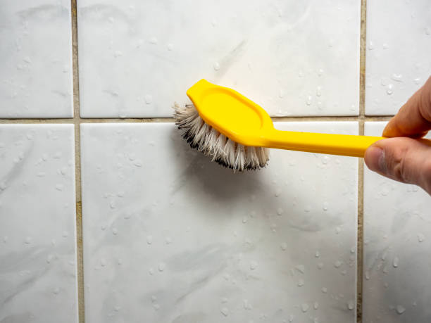 Best Attic Mold Removal  in Mineralwells, WV